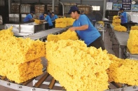 Cao su Phước Hòa dự báo lợi nhuận tăng mạnh trong năm 2022