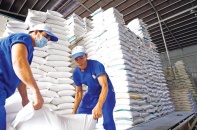 Nhu cầu dự trữ lương thực tăng cao