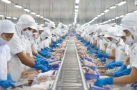 Động lực tăng trưởng mạnh mẽ tại Vĩnh Hoàn