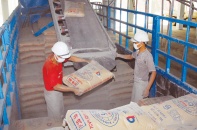 Vật liệu xây dựng tăng giá 30-40%, nhà thầu méo mặt