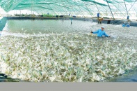 Bạc Liêu: Quyết giải ngân nhanh vốn đầu tư công, tạo đà tăng trưởng kinh tế