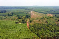 Đa số bộ, ngành không “bỏ phiếu” việc xẻ rừng làm quốc lộ