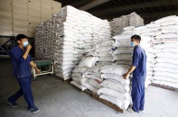 “Được mùa” xuất khẩu gạo sang EU