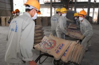 Xi măng lại tăng giá bán