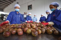 Chuẩn hóa sản xuất - “chìa khóa” đưa nông sản sang EU
