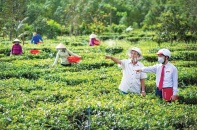 "Bộ đội chủ lực" trong cuộc chiến chống tín dụng đen 