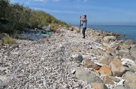 Hệ sinh thái rạn san hô vịnh Nha Trang bị “bức tử”: “Trái tim biển” chết vì sự vô cảm?