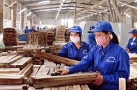 Gỗ Trường Thành vẫn khó khăn sau nhiều năm tái cấu trúc