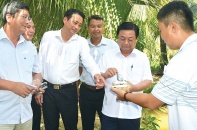 Kinh tế Trà Vinh nhiều khởi sắc