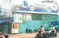 SAM Holdings kinh doanh kém vì chậm triển khai dự án  