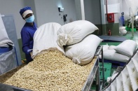 Việt Nam chuyển từ nhập siêu sang xuất siêu với Campuchia