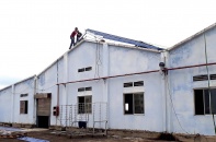 Vật vã tìm cửa sinh cho “xác sống” DAMCO