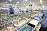 Doanh nghiệp cần tận dụng dư địa xuất khẩu sang Đức   