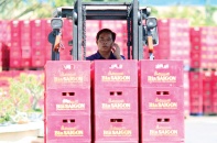 Hành trình thiết lập giá trị mới hậu M&A