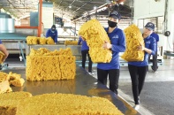 Doanh nghiệp thêm kiệt quệ vì bị “giam” tiền hoàn thuế - Bài 1: Doanh nghiệp cao su điêu đứng