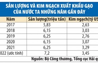 Xuất khẩu hơn 7 triệu tấn, gạo Việt về đích vượt chỉ tiêu