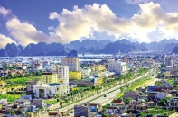 Thành phố Cẩm Phả lập kỷ lục mới