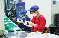 Năm 2023: Tin tưởng vào cơ hội phục hồi và tăng tốc