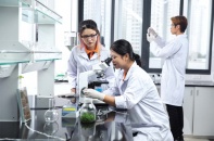 “Định vị” giáo dục đại học Việt Nam trên bản đồ thế giới