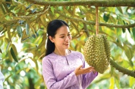 Xuất khẩu trái cây: Một năm đại thắng