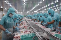 Ngành thủy sản nỗ lực mở rộng thị trường xuất khẩu