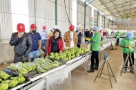 Bầu Đức - Người trả nợ