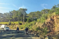 Dự án trồng rừng sau giải tỏa ở Lâm Đồng: “Cơ chế đặc thù” không đủ điều kiện bố trí vốn?