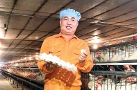 Phan Trung Kiên, nhà sáng lập Trứng gà cà gai leo Sadu: Nuôi gà hạnh phúc, thu trứng “hàng hiệu”