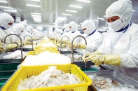 Lãi suất cao làm khó doanh nghiệp thủy sản