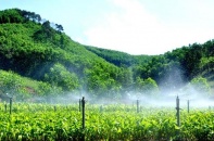 Doanh nghiệp Quảng Ngãi không mặn mà đầu tư vào nông nghiệp