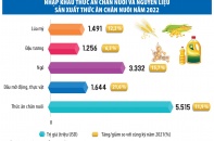 Nghịch lý ngành chăn nuôi: Đầu vào tăng cao, đầu ra giảm sâu