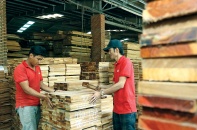Doanh nghiệp ngành gỗ tiến thoái lưỡng nan
