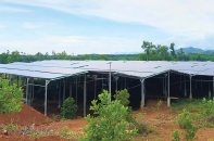 Ai dọn rác điện năng lượng mặt trời? - Bài 1: Những dự án điện mặt trời thách thức pháp luật