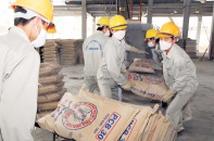 Doanh nghiệp xi măng khốn đốn vì xuất khẩu giảm kỷ lục