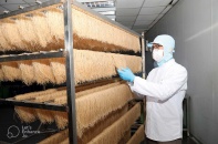 Doanh nhân Lê Duy Toàn, CEO Duy Anh Foods: Tinh thần tự hào dân tộc dẫn lối khởi nghiệp