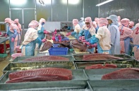 Mở rộng các FTA để tăng lực xuất khẩu cho hàng Việt