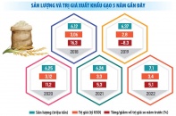 Định hướng xuất khẩu gạo: Giảm dần về lượng, tập trung tăng giá trị