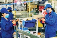 Kỳ vọng chuyển biến thực sự đến trong quý III