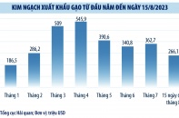 Xuất khẩu gạo tăng cao cả về lượng và giá trị