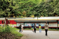 Khơi thông dòng chảy di sản