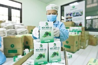 Doanh nhân trẻ kiến tạo nền nông nghiệp xanh