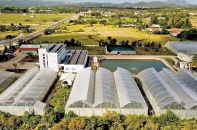 Nông nghiệp công nghệ cao - mảnh đất màu mỡ của Phú Yên