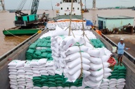 Xuất khẩu nhiều gạo, vì sao hiệu quả kinh doanh vẫn thấp