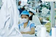 Hàng Việt xuất đi nhiều thị trường khó tính