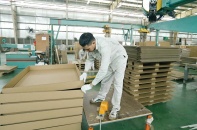 Doanh nghiệp Việt và “cuộc đua” xanh hóa