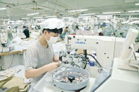 Hàng hóa xuất sang EU đối mặt nhiều quy định khắt khe