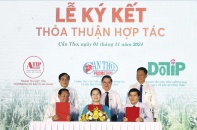 Cần Thơ xúc tiến đầu tư, kết nối giao thương hiệu quả