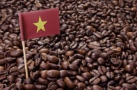 Tin vắn Đầu tư Online ngày 13/1