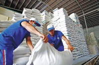 Tấm áo giáp giúp ngành nông nghiệp đối phó với chiến tranh thương mại