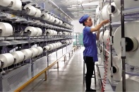 Doanh nghiệp Thụy Điển muốn rót tỷ USD vào Việt Nam